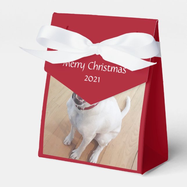 Sweet lächelnd White Reinreder Dog Weihnachten Rot Geschenkschachtel (Vorderseite)