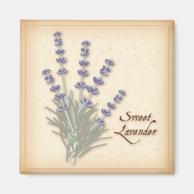 Sweet Lavender Magnet (Vorne)