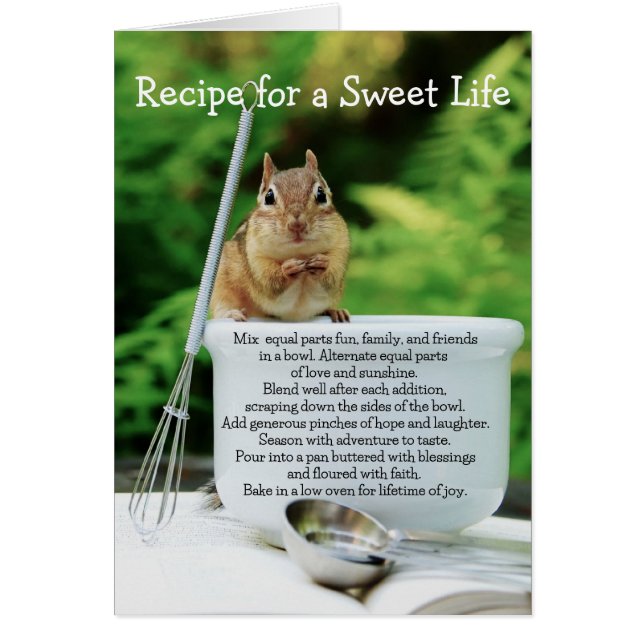 Sweet Life Little Chipmunk (Vorne)