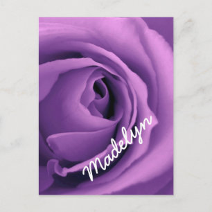 SWEET LILA DREAMS Rose Version 023A Postkarte