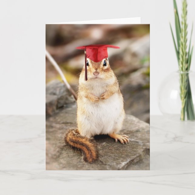 Sweet Little Chipmunk Graduate Greeting Card Karte (Vorderseite)