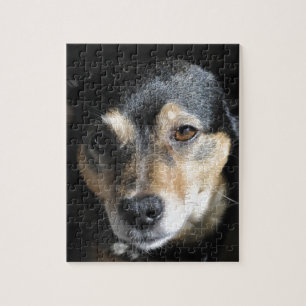 Sweet Little Dog Posing für die Kamera Puzzle
