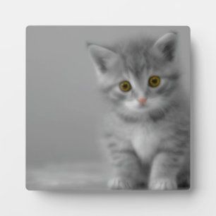 Sweet Little Kitten Fotoplatte