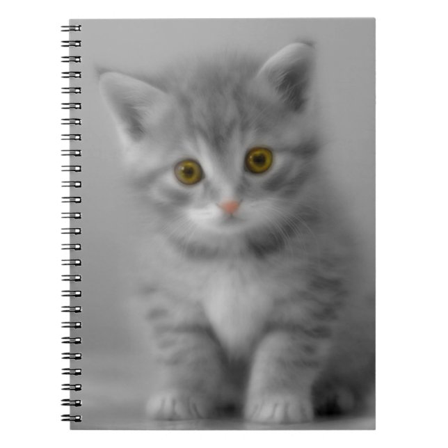 Sweet Little Kitten Notizblock (Vorderseite)