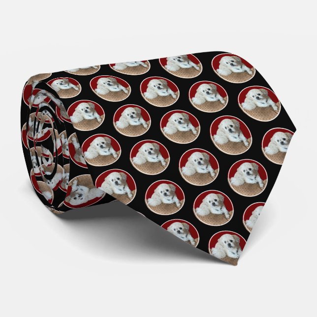 Sweet Malshi Black Neck Tie Krawatte (Gerollt)