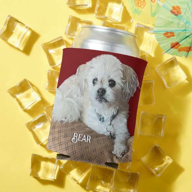 Sweet Malshi Dosenkühler (In Situ Sommer)