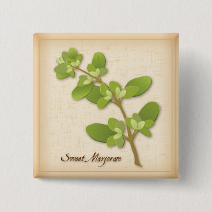 Sweet Marjoram Herb Button