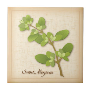 Sweet Marjoram Herb Fliese