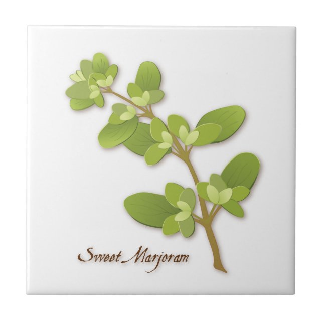 Sweet Marjoram Herb Keramik Tile Fliese (Vorderseite)