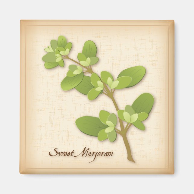 Sweet Marjoram Herb Magnet (Vorne)