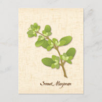 Sweet Marjoram Postcard anpassen