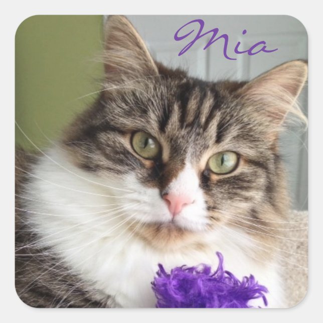 Sweet Mia Sticker (Vorderseite)