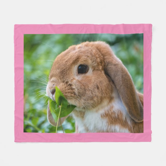 Sweet Mini Lop Kaninchen Fleecedecke (Vorderseite (Horizontal))