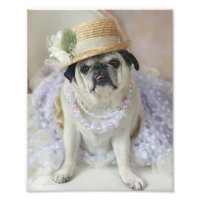 Sweet Mops in Strohhut Print