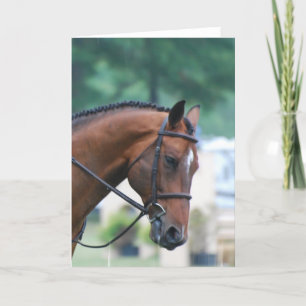 Sweet Morgan Horse Greeting Cards Karte