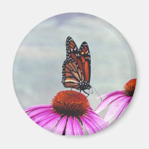 Sweet Nectar - Magnet