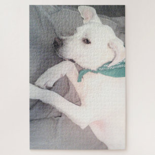 Sweet Niedlicher Hund mit grünem Scarf Puzzle