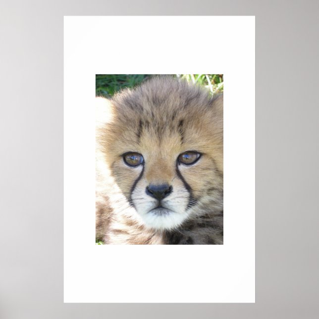 Sweet November Poster (Vorne)