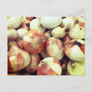 Sweet Onions Postcard Postkarte