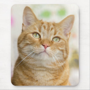 Sweet Orange Tabby Cat Mousepad