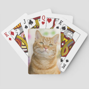Sweet Orange Tabby Cat Spielkarten