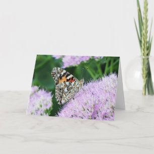 Sweet Painted Lady Karte
