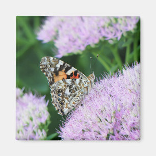 Sweet Painted Lady Magnet