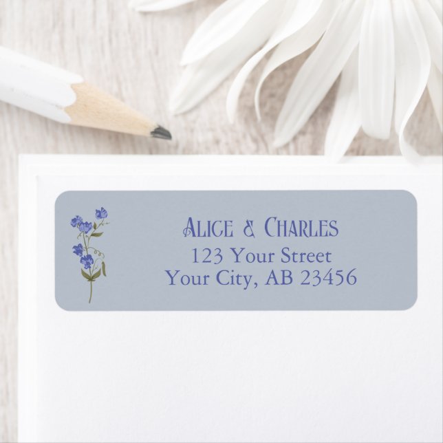 Sweet Pea Blume Blue Wedding (Insitu)