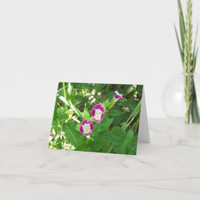 Sweet Pea Note Card Karte (Vorderseite)