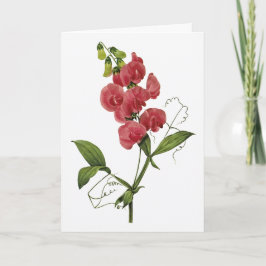 Sweet Pea Watercolor Sympathy Card Karte