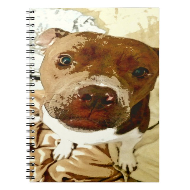 Sweet Pibble Face Notizblock (Vorderseite)