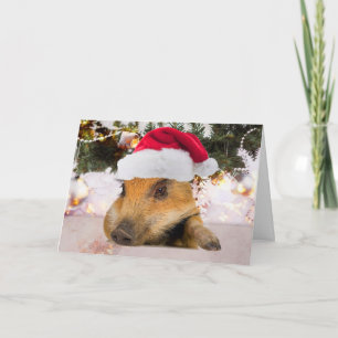 Sweet Pig in Weihnachtsmannmütze Weihnachtsbaum Feiertagskarte