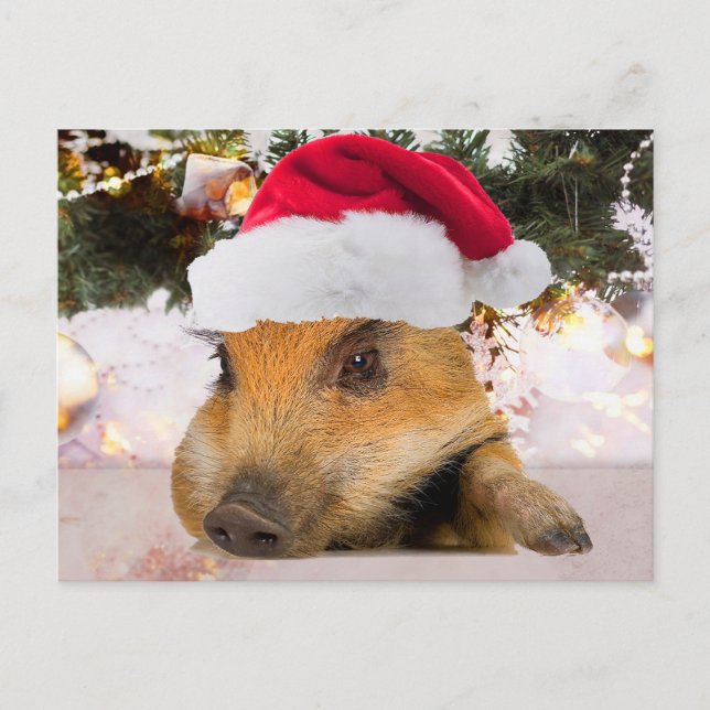 Sweet Pig in Weihnachtsmannmütze Weihnachtsbaum Feiertagspostkarte (Vorderseite)