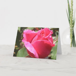 Sweet Pink Rose Bud Blume Gruß oder Mitteilungskar Karte