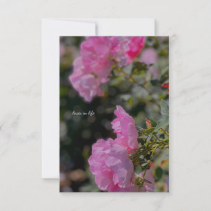 Sweet Pink Roses Mitteilungskarte