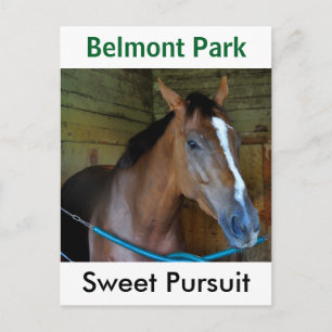 Sweet Pursuit by Posse Postkarte