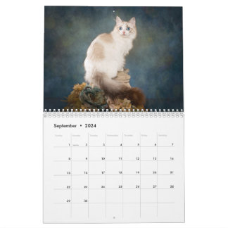 Sweet Ragdoll Kittens Calendar Kalender