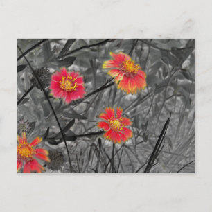 Sweet Red Blume Postkarte
