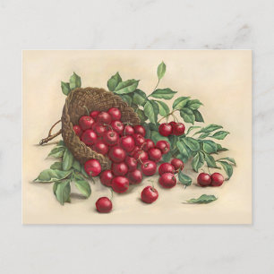 Sweet Red Cherries Postkarte