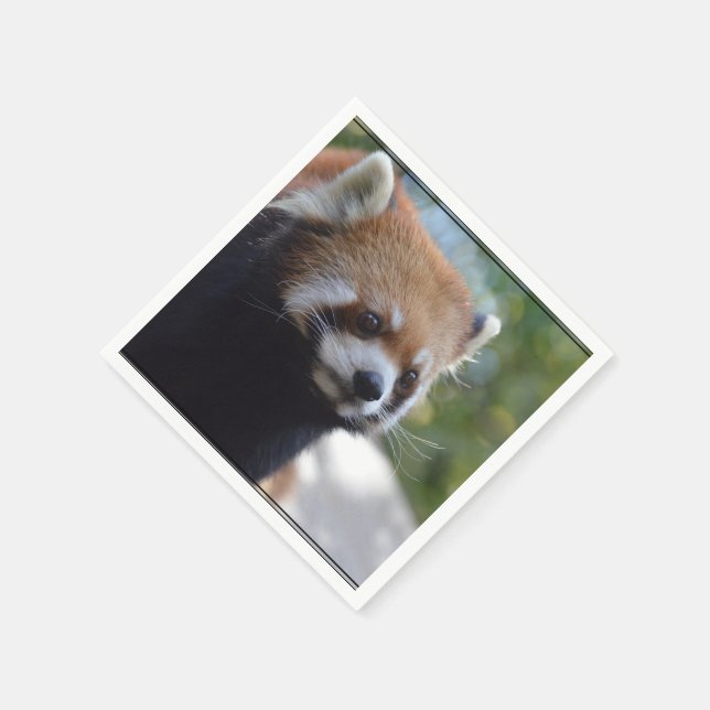 Sweet Red Panda Bear Serviette (Ecke)