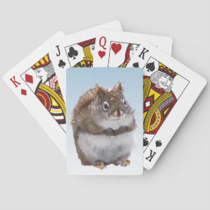 Sweet Red Squirrel Playing Cards Spielkarten