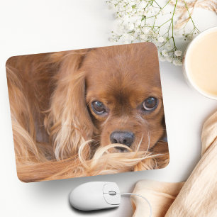 Sweet Ruby Cavalier King Charles Spaniel Mousepad