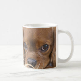 Sweet Ruby Cavalier King Charles Spaniel Tasse
