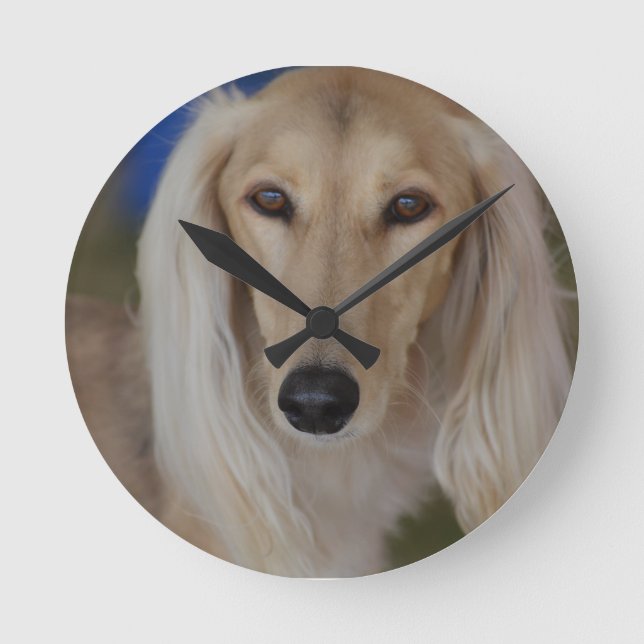 Sweet Saluki Runde Wanduhr (Vorderseite)