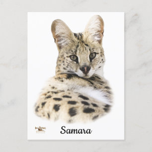 Sweet Samara Postkarte