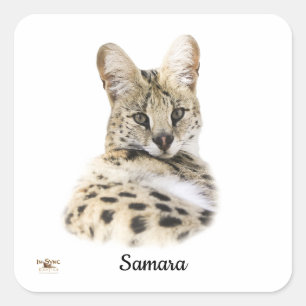 Sweet Samara Quadratischer Aufkleber