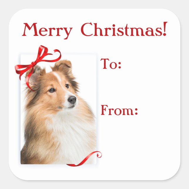 Sweet Sheltie Weihnachtsgeschenke Stickers (Vorderseite)