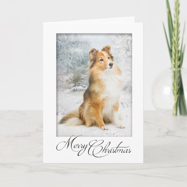 Sweet Sheltie Weihnachtskarte Feiertagskarte (Vorderseite)