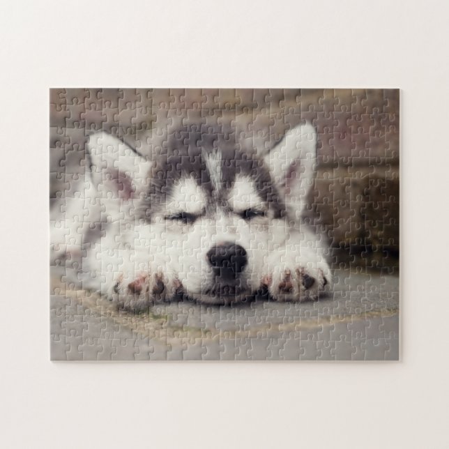Sweet Siberian Husky Puppy Puzzle (Horizontal)