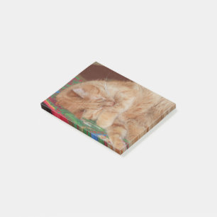 Sweet Sleeping Ginger Boy Post-it Klebezettel